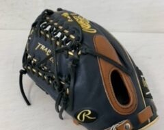 ローリングス Rawlings 軟式グローブ HEART of the HIDE GR1HMMT