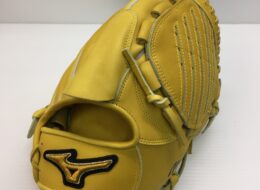 ミズノ mizuno ミズノプロ 硬式 投手用 グローブ 1AJGH16011 新品未使用品